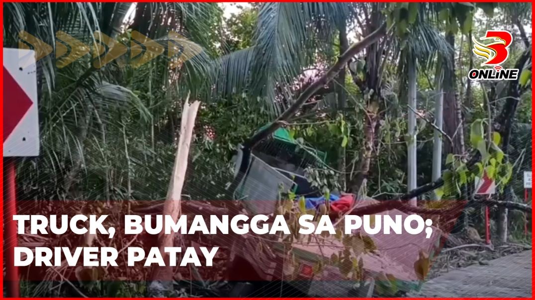 ⁣Truck, bumangga sa puno; driver patay