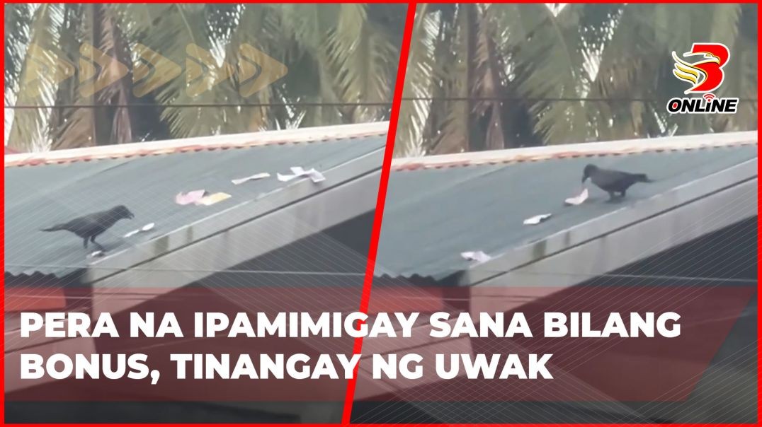 ⁣Pera na ipamimigay sana bilang bonus, tinangay ng uwak