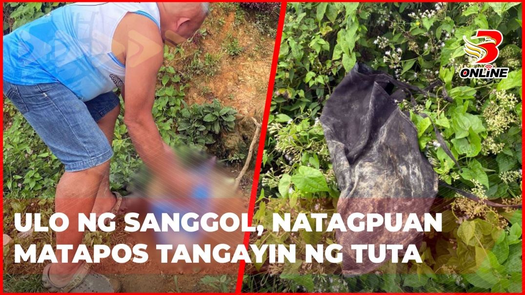 ⁣Ulo ng sanggol, natagpuan matapos tangayin ng tuta