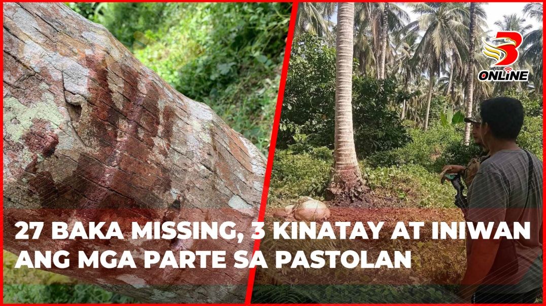 ⁣27 baka missing, 3 kinatay at iniwan ang mga parte sa pastolan