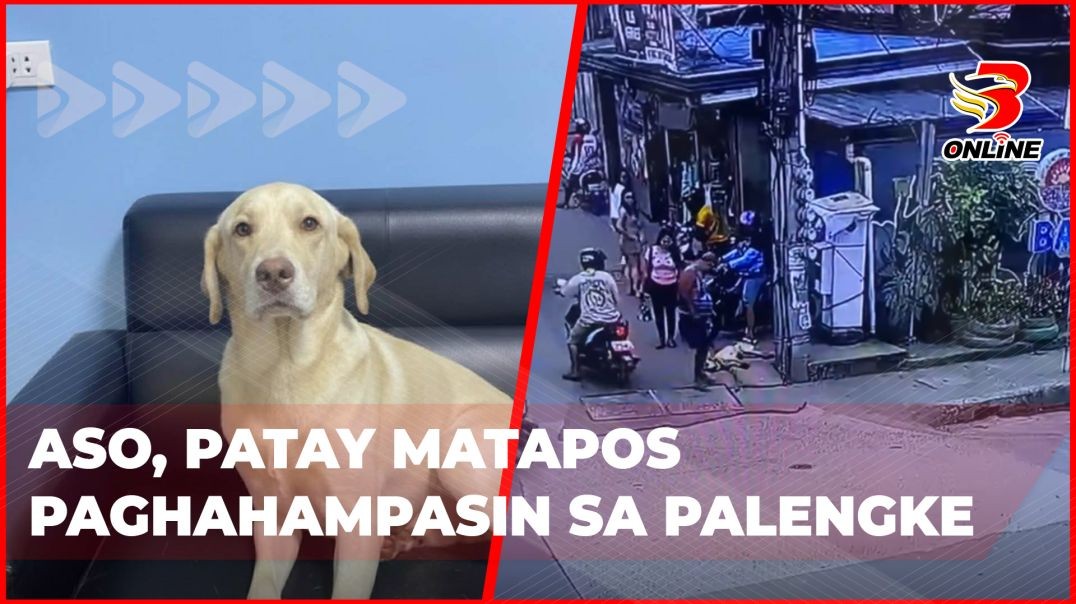 ⁣Aso, patay matapos paghahampasin sa palengke