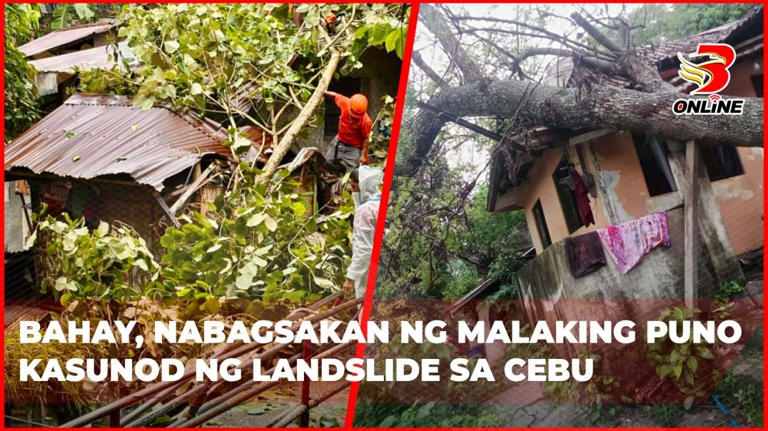 ⁣Bahay, nabagsakan ng malaking puno kasunod ng landslide sa Cebu