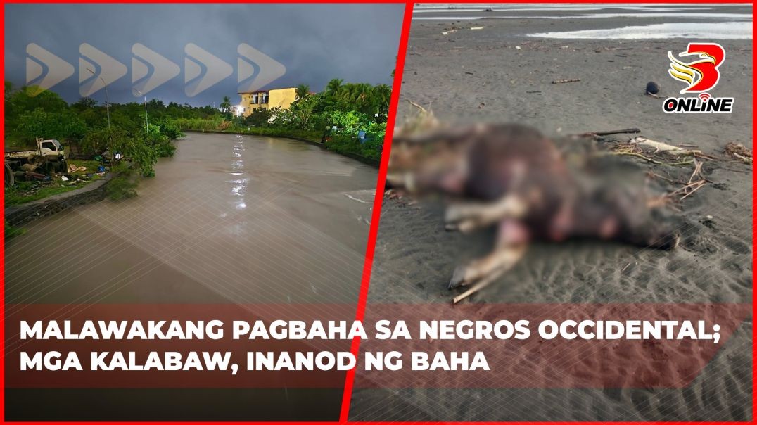 ⁣Malawakang pagbaha sa Negros Occidental; Mga kalabaw, inanod ng baha