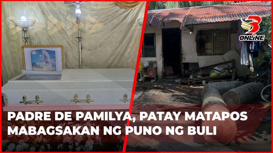 ⁣Padre de pamilya, patay matapos mabagsakan ng puno ng buli