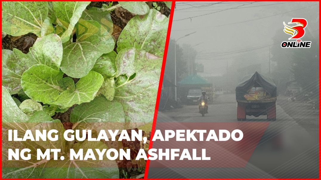 ⁣Ilang gulayan, apektado ng Mt. Mayon ashfall