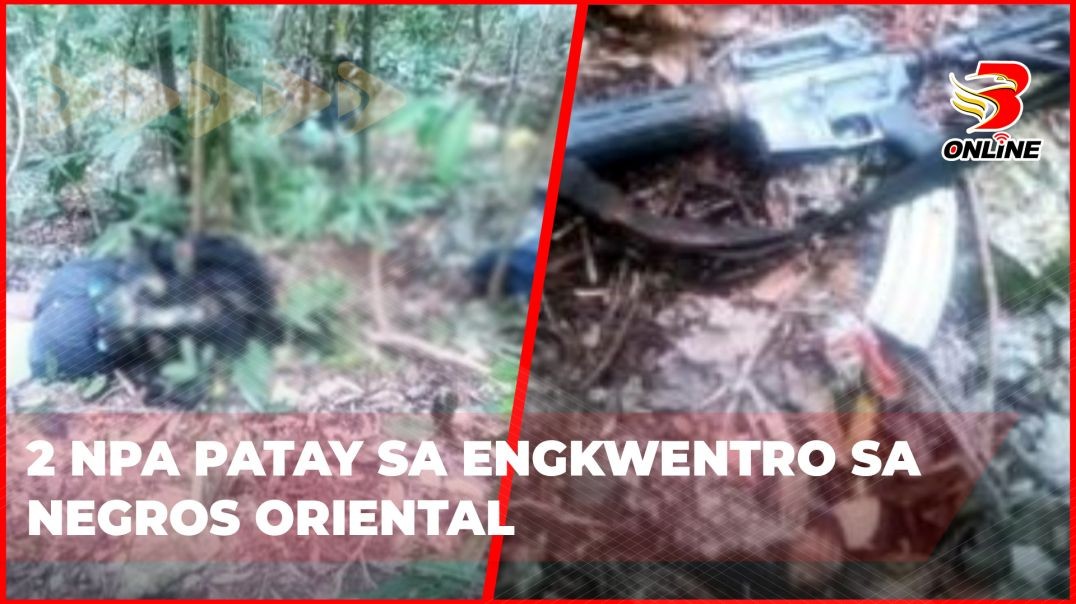 ⁣2 NPA patay sa engkwentro sa Negros Oriental