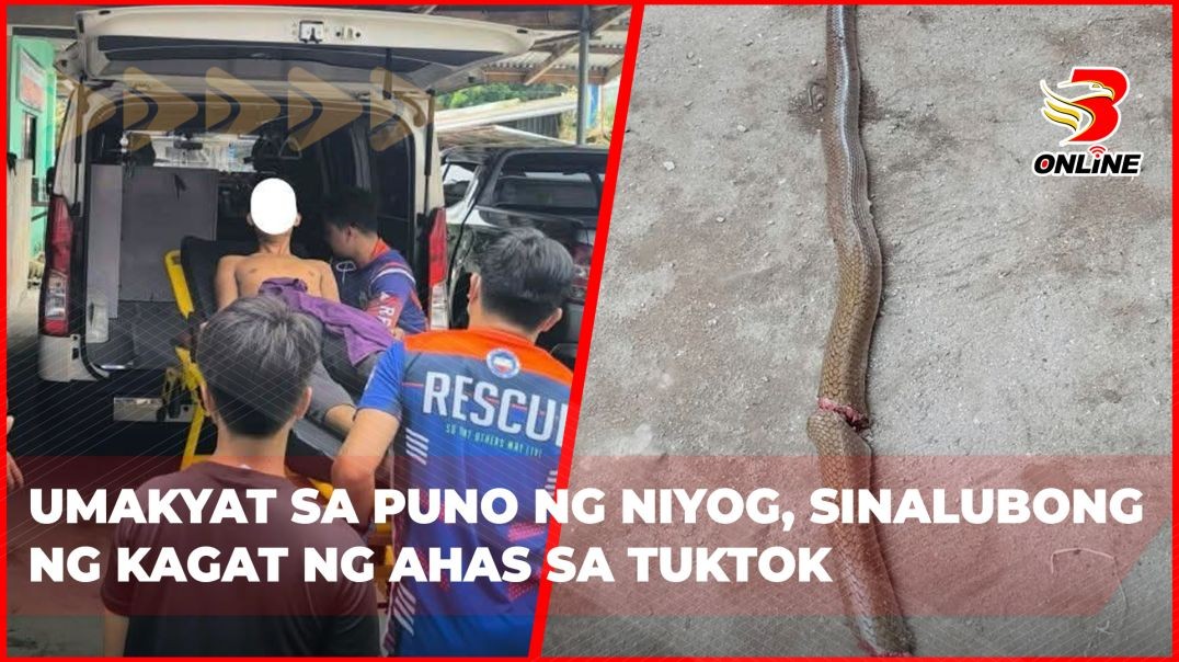 ⁣Umakyat sa puno ng niyog, sinalubong ng kagat ng ahas sa tuktok