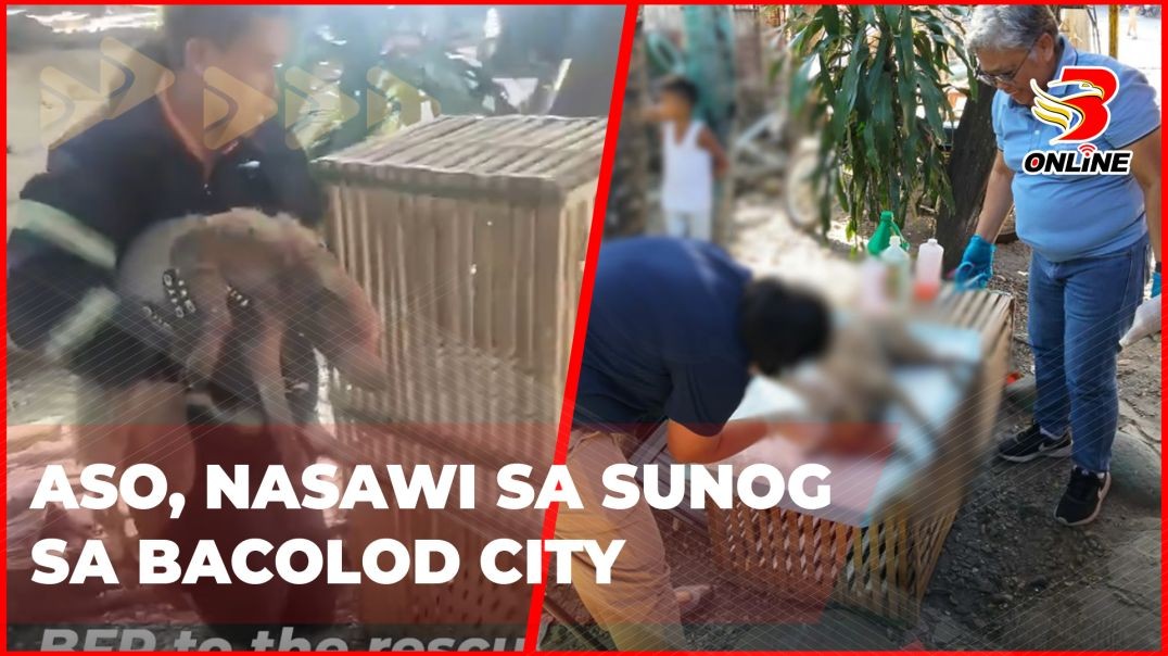 ⁣Aso, nasawi sa sunog sa Bacolod City