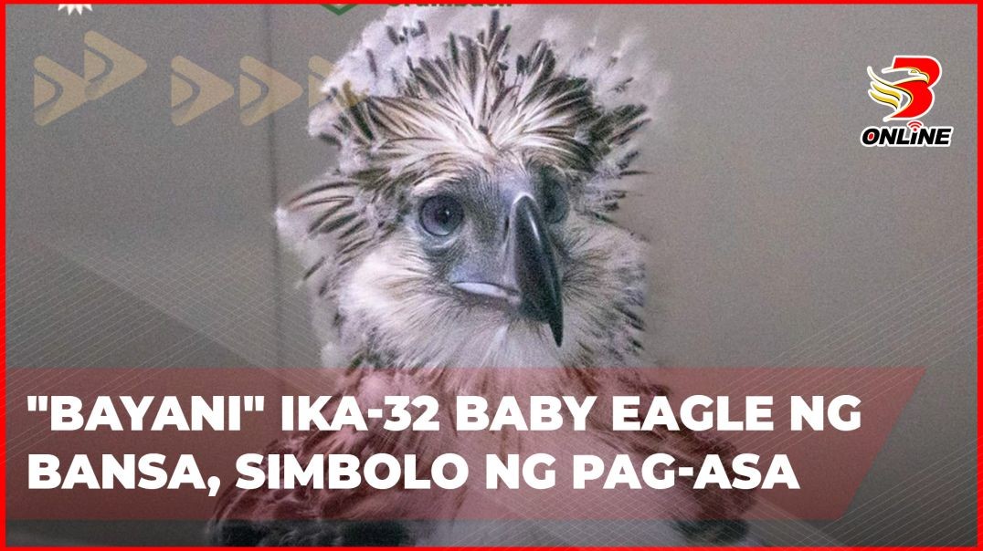 ⁣Bayani ika-32 baby eagle ng bansa, simbolo ng pag-asa