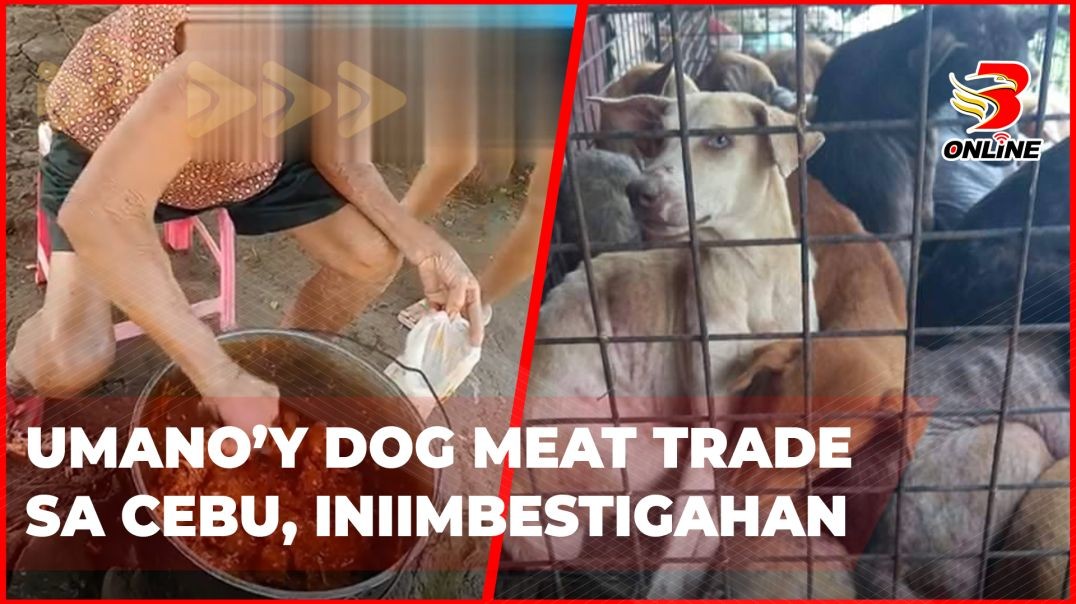 ⁣Umano’y dog meat trade sa Cebu, iniimbestigahan