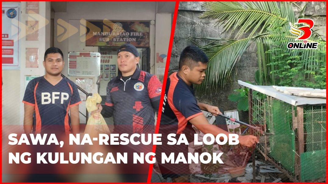 ⁣Sawa, na-rescue sa loob ng kulungan ng manok