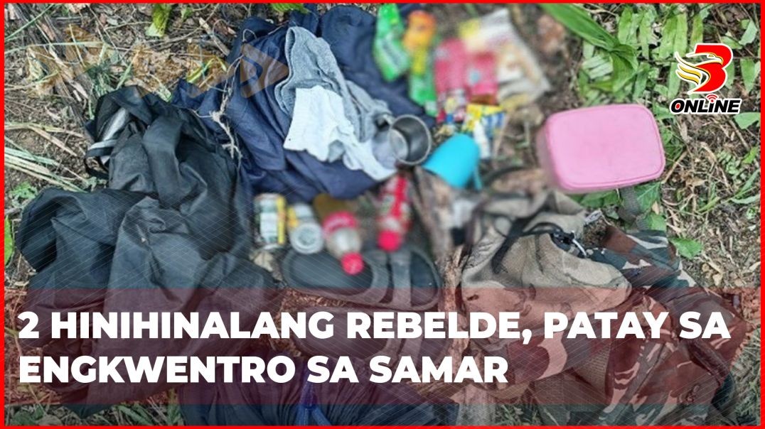 ⁣2 hinihinalang rebelde, patay sa engkwentro sa Samar