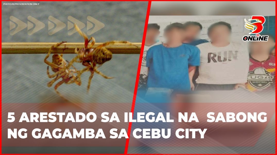 5 arestado sa ilegal na sabong ng gagamba sa Cebu City
