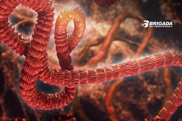 Bilang ng mga nasawi sa Congo dahil sa Ebola outbreak, pumalo na sa higit 100