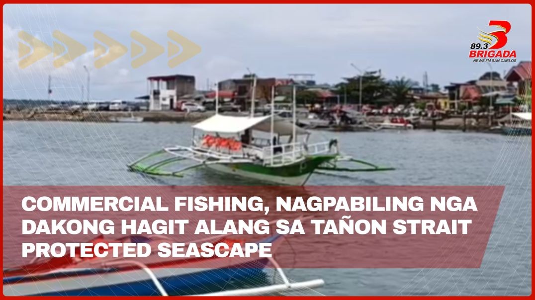 ⁣Commercial fishing, nagpabiling nga dakong hagit alang sa Tañon Strait Protected Seascape