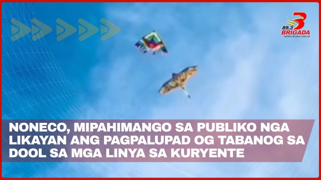 NONECO, mipahimango sa publiko nga likayan ang pagpalupad og tabanog sa dool sa mga linya ug poste s