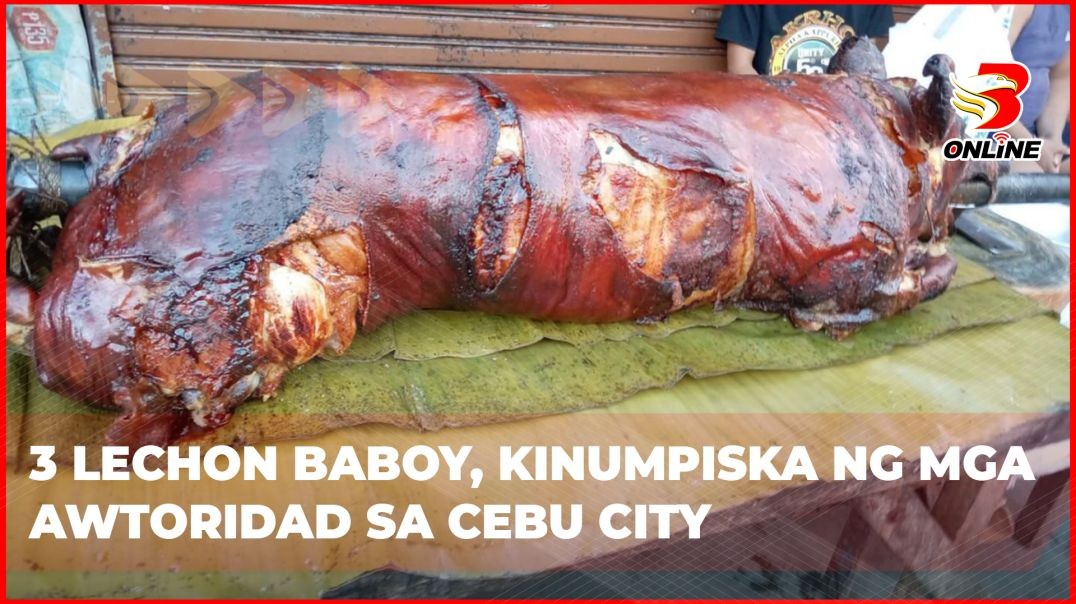 ⁣3 lechon baboy, kinumpiska ng mga awtoridad sa Cebu City