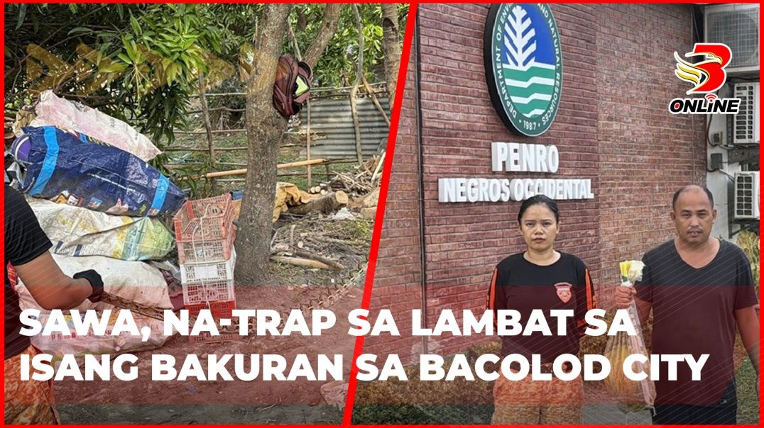 ⁣Sawa, na-trap sa lambat sa isang bakuran sa Bacolod City