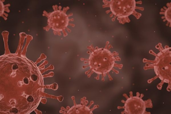 3, patay sa loob ng isang cruise dahil sa pinaghihinalaang virus outbreak