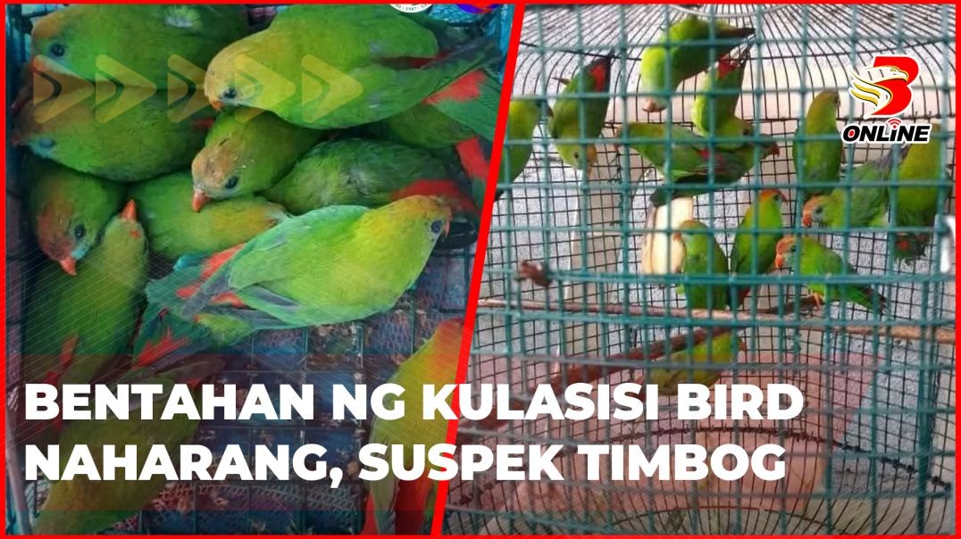 ⁣Bentahan ng Kulasisi bird naharang, suspek timbog