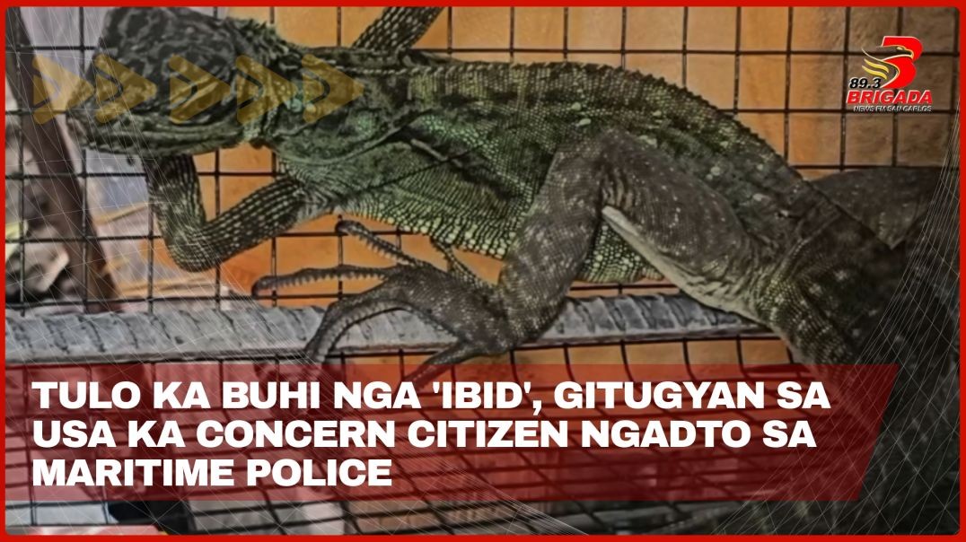 Tulo ka buhi nga 'ibid', gitugyan sa usa ka concern citizen ngadto sa Maritime Police