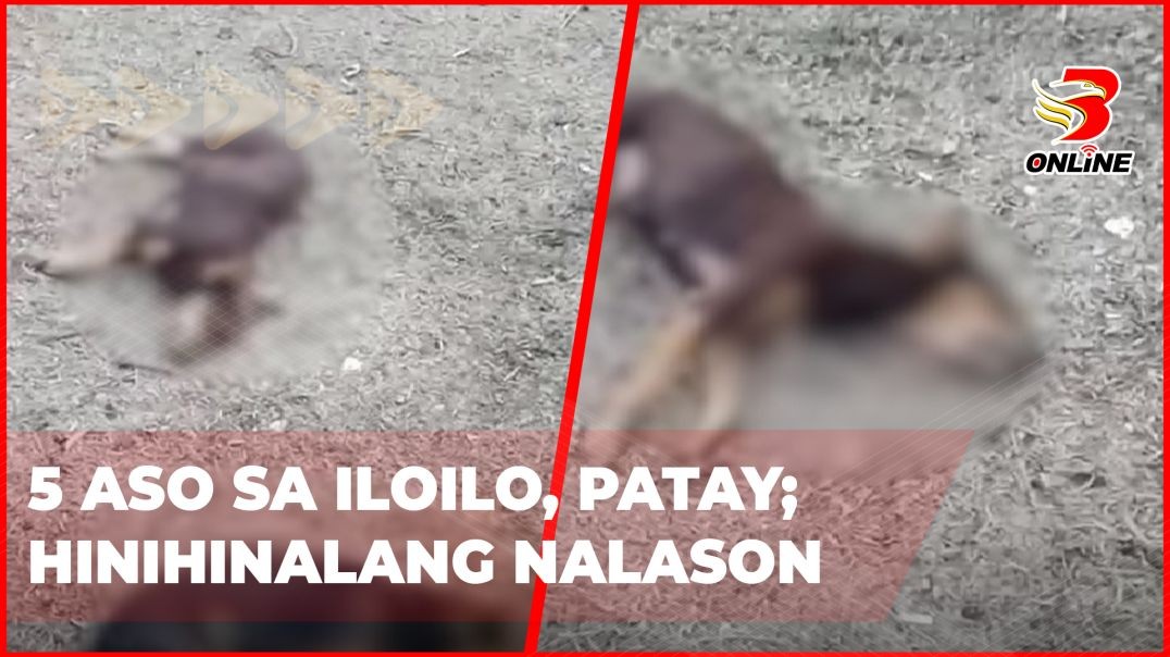 ⁣5 aso sa Iloilo, patay; hinihinalang nalason