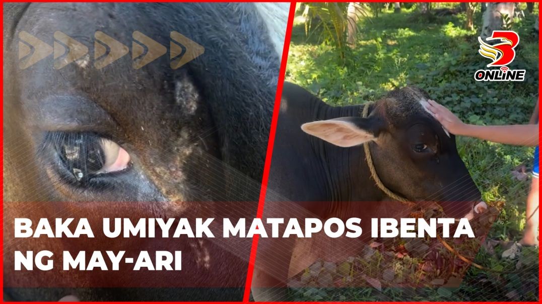 ⁣Baka umiyak matapos ibenta ng may-ari