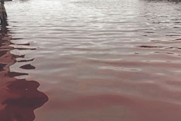 Mga baybayin sa Misamis Occidental at Lanao del Norte, positibo sa red tide toxin