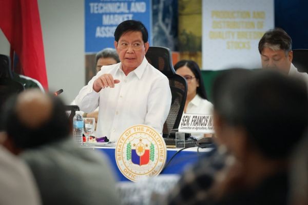Mga lumahok sa umano'y 'bogus' flood control hearing nitong Huwebes, maaring makasuhan ayon kay Lacson