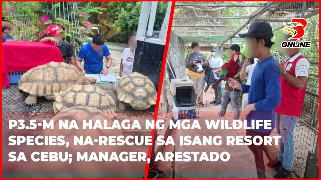 ⁣P3.5-M na halaga ng mga wildlife species, na-rescue sa isang resort sa Cebu; manager, arestado
