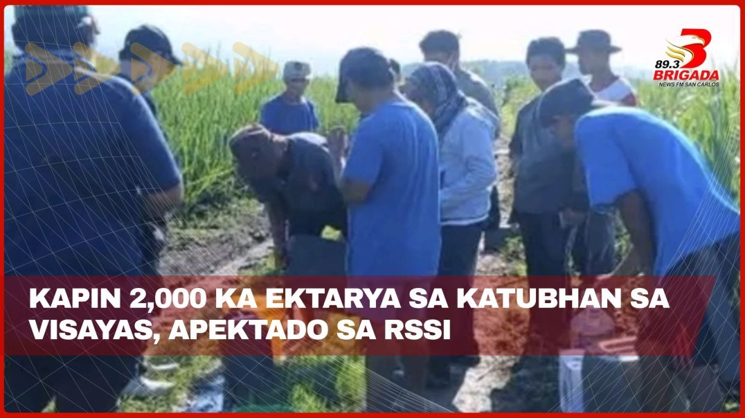 Kapin 2,000 ka ektarya sa katubhan sa Visayas, apektado sa RSSI
