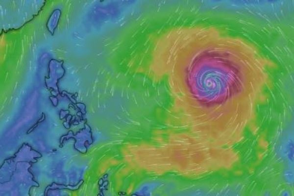 DSWD, naka-high alert na para sa inaasahang pagpasok ng super typhoon 'Bavi' sa PAR