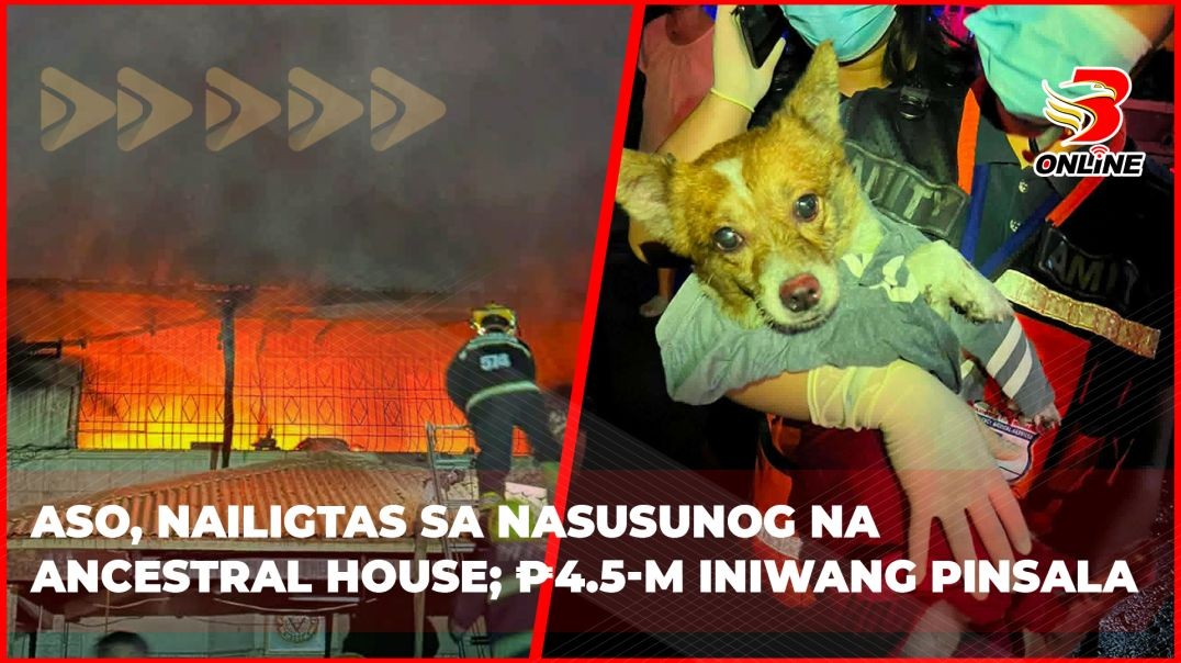 Aso, nailigtas sa nasusunog na ancestral house; ₱4.5-M iniwang pinsala