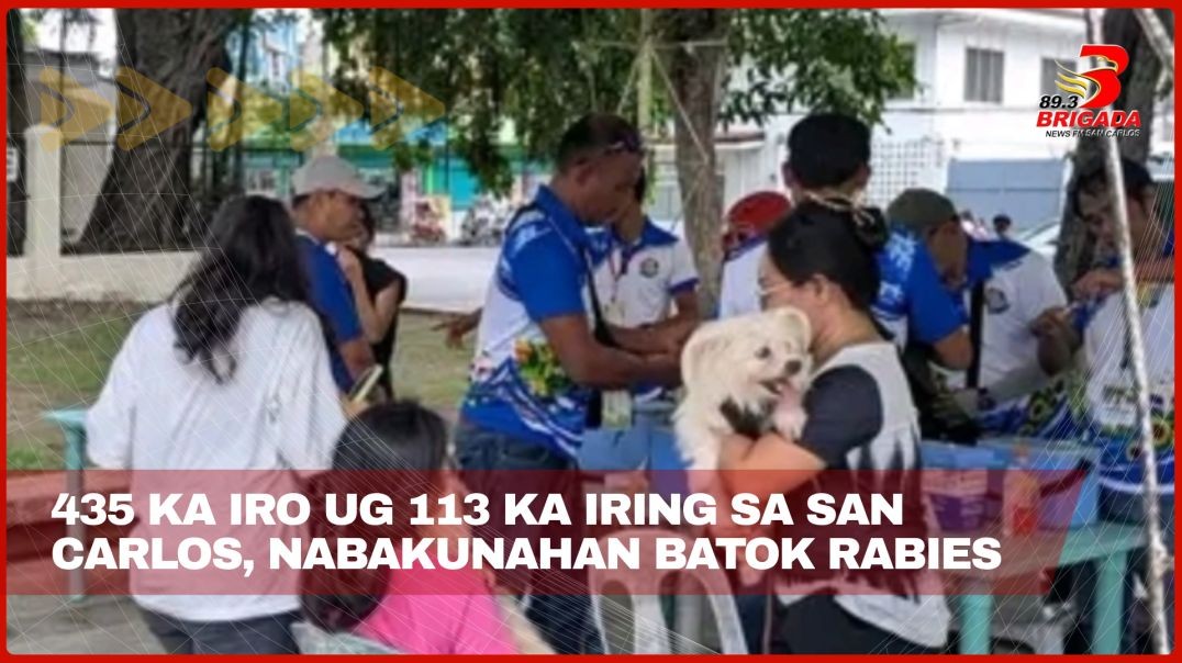 ⁣435 ka iro ug 113 ka iring sa San Carlos, nabakunahan batok rabies