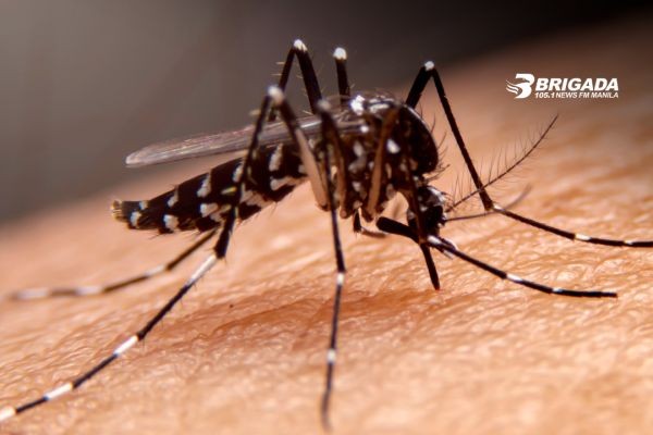 Dengue cases sa Quezon City, umabot na sa mahigit 2,800; bilang ng mga nasawi, nasa 15 na