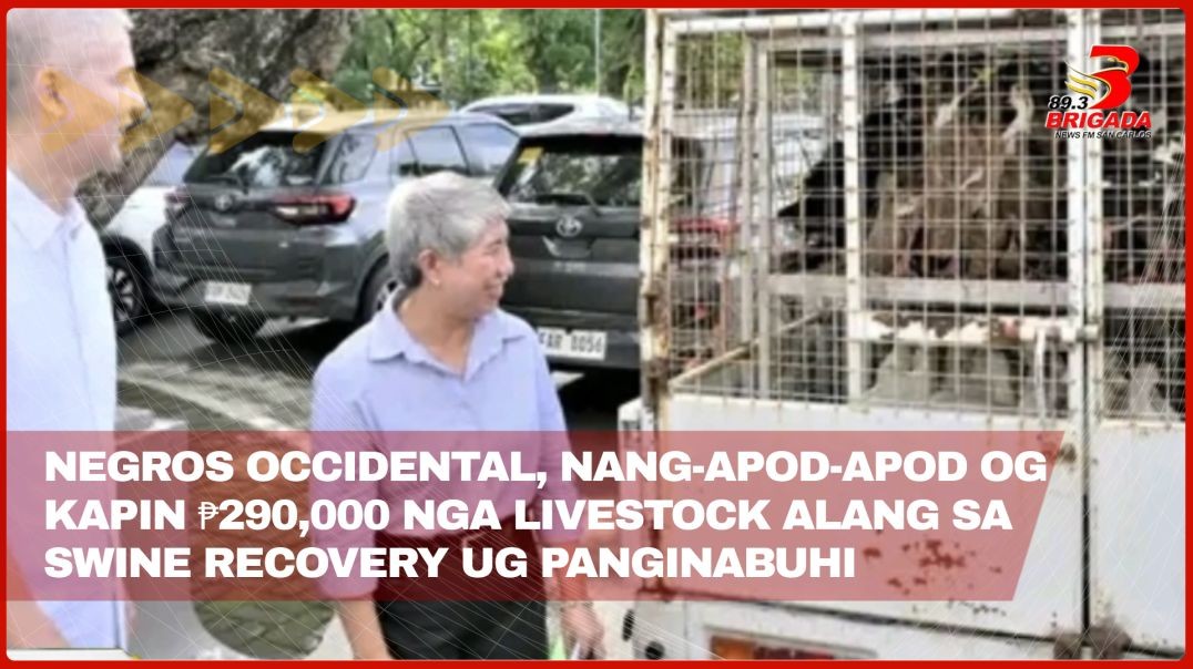 Negros Occidental, nang-apod-apod og kapin ₱290,000 nga livestock alang sa swine recovery ug pangina