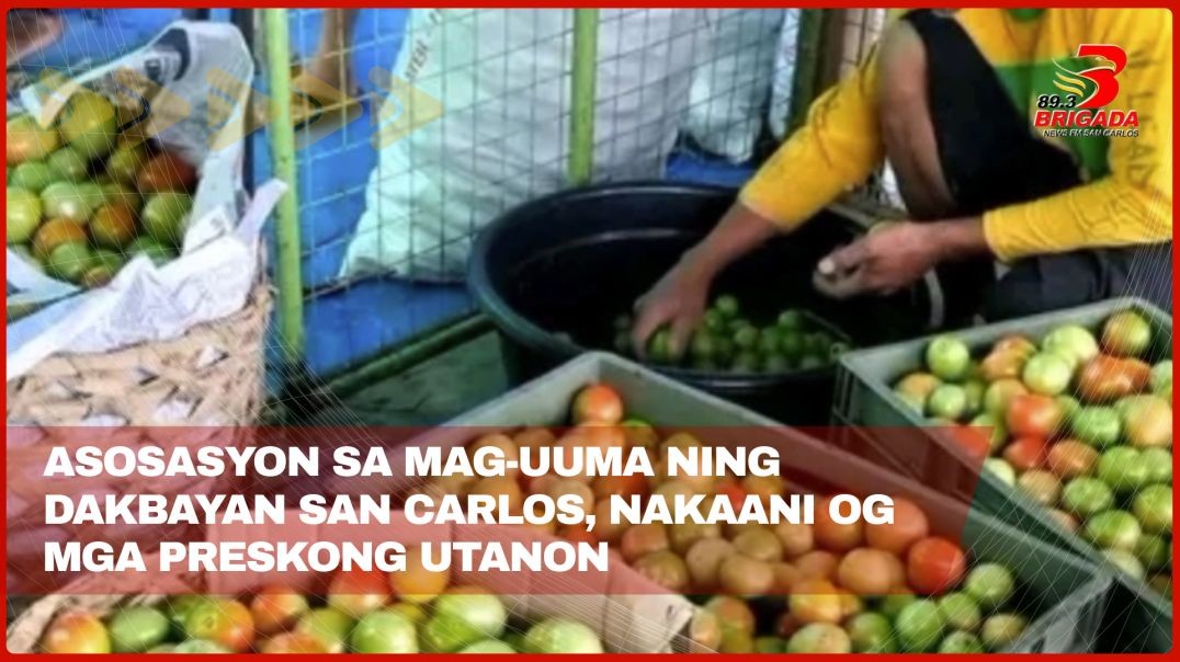 Asosasyon sa mag-uuma ning Dakbayan San Carlos, nakaani og mga preskong utanon